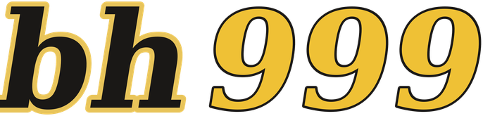 bh999 logo